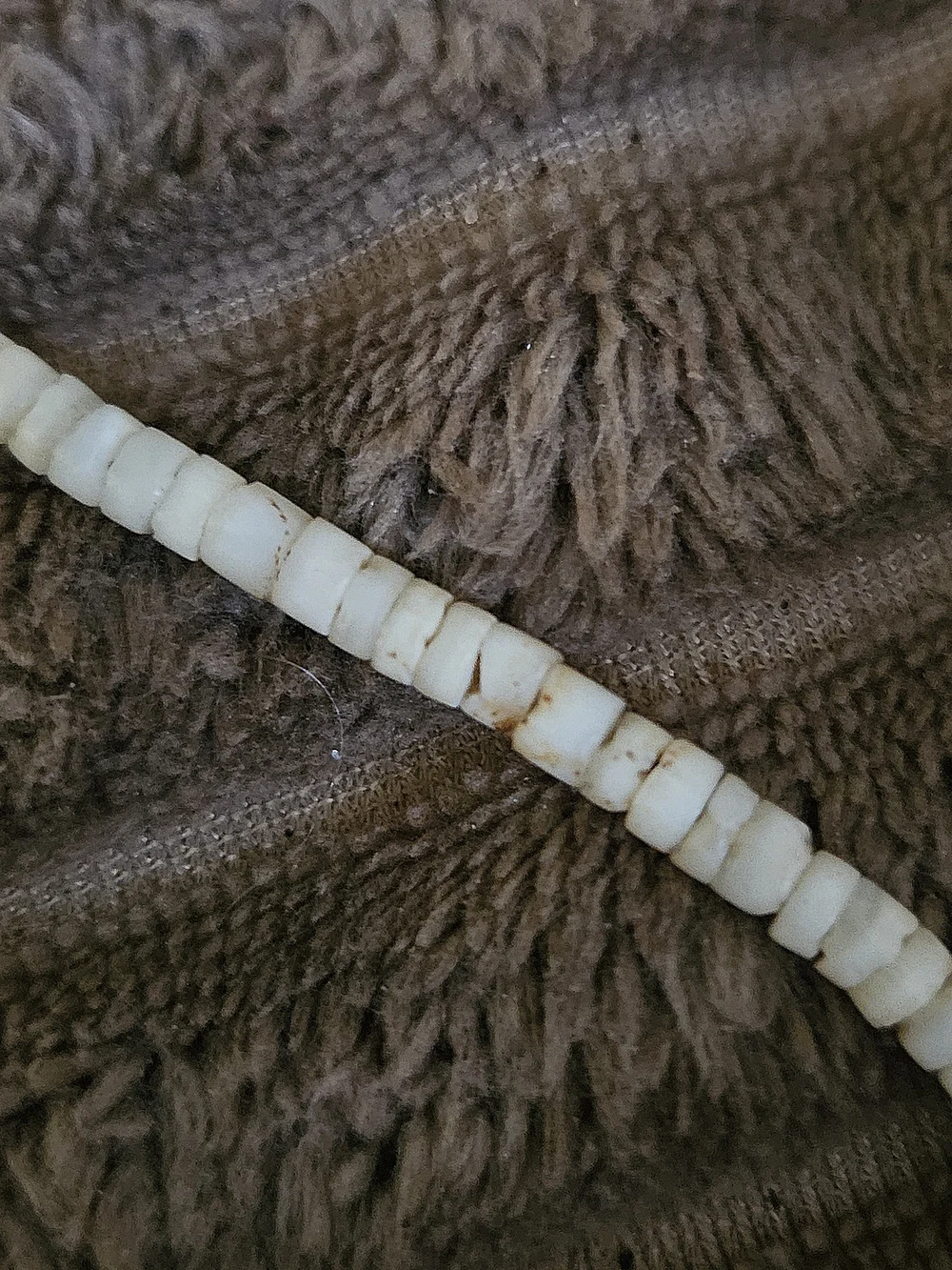 White Puka Shell Beaded Necklace - Brand Not Specified